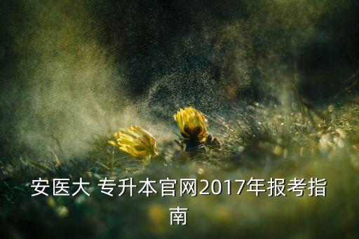 安醫(yī)大 專升本官網(wǎng)2017年報考指南