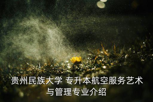  貴州民族大學(xué) 專(zhuān)升本航空服務(wù)藝術(shù)與管理專(zhuān)業(yè)介紹
