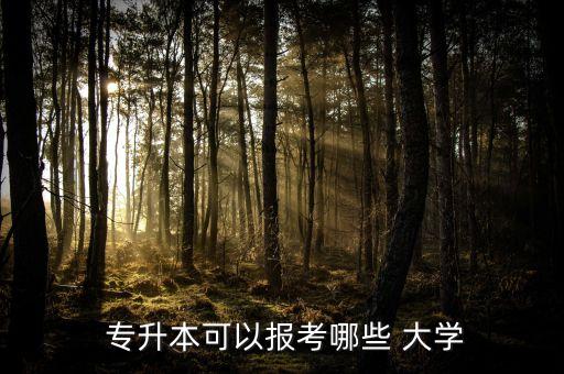  專升本可以報考哪些 大學