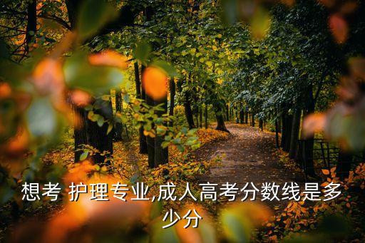 想考 護理專業(yè),成人高考分數線是多少分