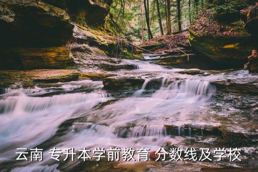 西南林業(yè)大學2018專升本分數(shù)線,云南西南林業(yè)大學專升本分數(shù)線