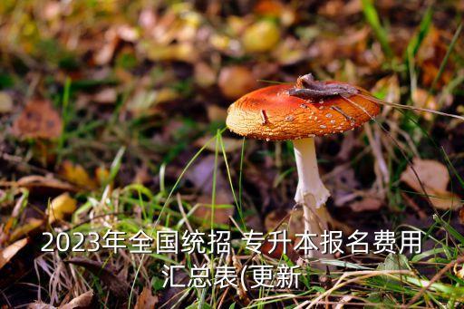 2023年全國統(tǒng)招 專升本報(bào)名費(fèi)用匯總表(更新
