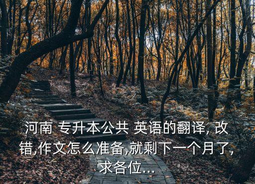 河南 專升本公共 英語的翻譯, 改錯(cuò),作文怎么準(zhǔn)備,就剩下一個(gè)月了,求各位...