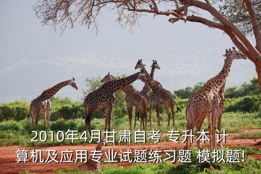 2010年4月甘肅自考 專升本 計算機及應(yīng)用專業(yè)試題練習(xí)題 模擬題!