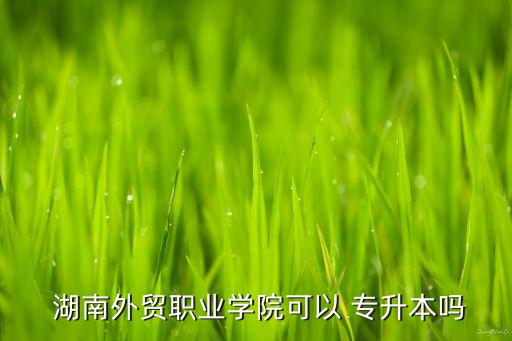  湖南外貿(mào)職業(yè)學院可以 專升本嗎