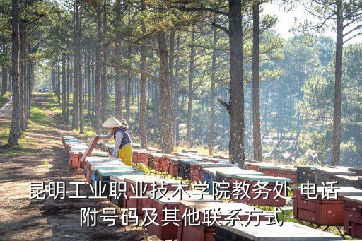 昆明專升本學(xué)校聯(lián)系電話,濟南智博專升本聯(lián)系電話