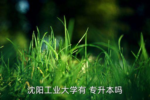 沈陽(yáng)工業(yè)大學(xué)有 專(zhuān)升本嗎