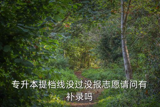  專(zhuān)升本提檔線沒(méi)過(guò)沒(méi)報(bào)志愿請(qǐng)問(wèn)有 補(bǔ)錄嗎