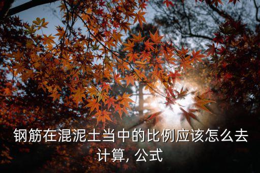  鋼筋在混泥土當(dāng)中的比例應(yīng)該怎么去計算, 公式