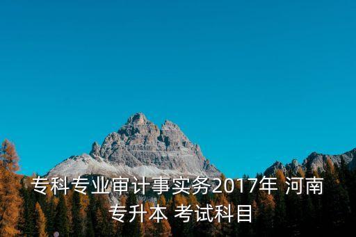 專科專業(yè)審計(jì)事實(shí)務(wù)2017年 河南 專升本 考試科目