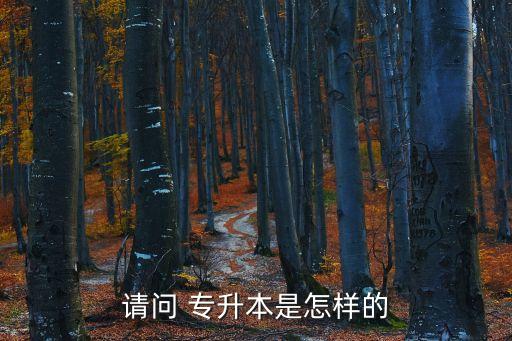 請(qǐng)問(wèn) 專升本是怎樣的
