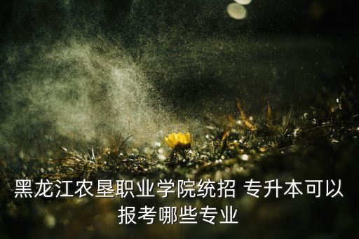 黑龍江農(nóng)墾職業(yè)學(xué)院統(tǒng)招 專升本可以報考哪些專業(yè)