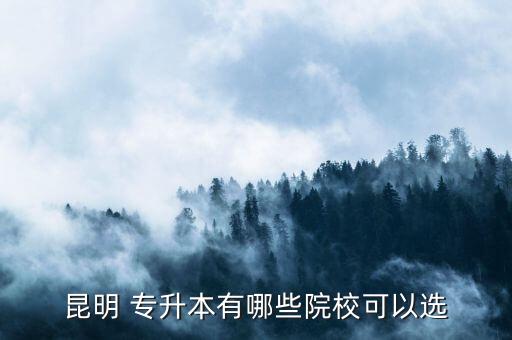 昆明 專升本有哪些院?？梢赃x