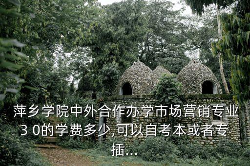  萍鄉(xiāng)學(xué)院中外合作辦學(xué)市場營銷專業(yè)3 0的學(xué)費多少,可以自考本或者專插...