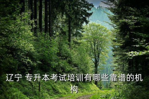 遼寧 專升本考試培訓(xùn)有哪些靠譜的機(jī)構(gòu)