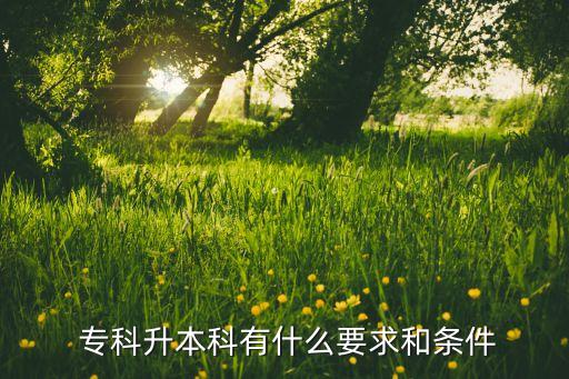 什么樣的專科可以專升本,?？茖Ｉ拘枰裁礂l件