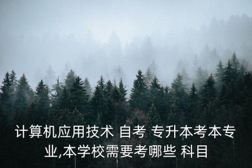 計算機應(yīng)用技術(shù) 自考 專升本考本專業(yè),本學(xué)校需要考哪些 科目