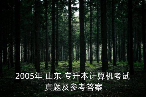 2005年 山東 專升本計(jì)算機(jī)考試 真題及參考答案