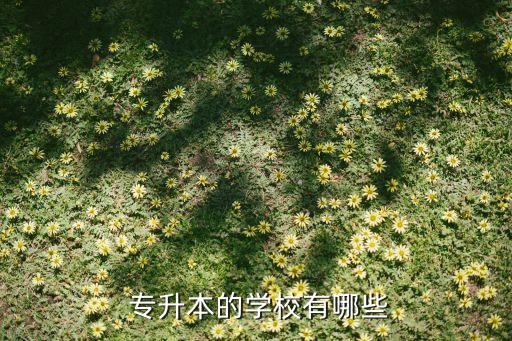 專升本的學(xué)校有哪些