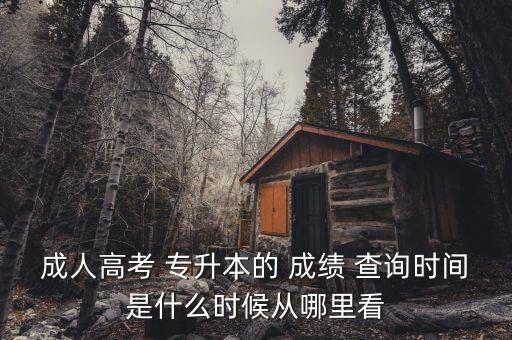 成人高考 專升本的 成績 查詢時間是什么時候從哪里看