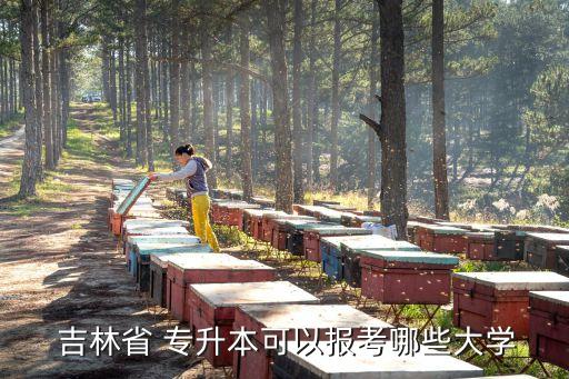  吉林省 專升本可以報考哪些大學