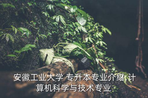  安徽工業(yè)大學 專升本專業(yè)介紹:計算機科學與技術專業(yè)