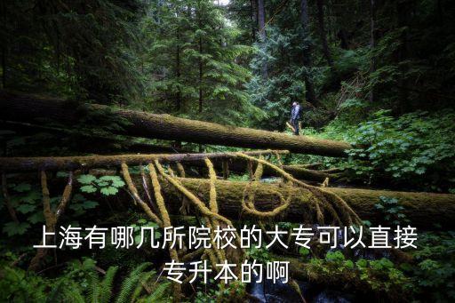  上海有哪幾所院校的大專可以直接 專升本的啊