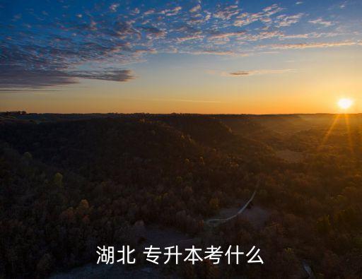 湖北 專(zhuān)升本考什么