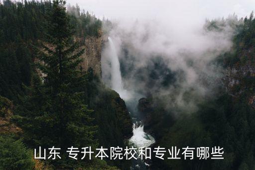  山東 專升本院校和專業(yè)有哪些