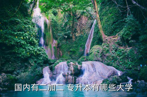國內(nèi)有二加二 專升本有哪些大學(xué)