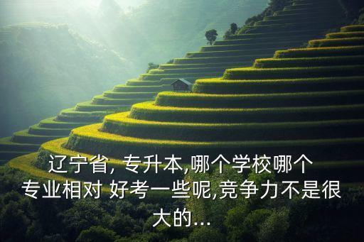  遼寧省, 專升本,哪個學校哪個 專業(yè)相對 好考一些呢,競爭力不是很大的...