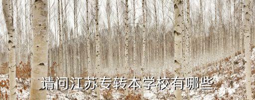 請問江蘇專轉(zhuǎn)本學校有哪些