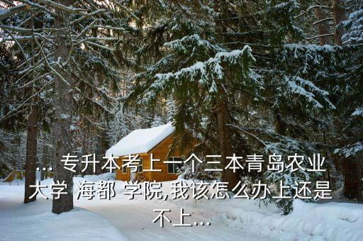 ... 專升本考上一個三本青島農(nóng)業(yè)大學 海都 學院,我該怎么辦上還是不上...