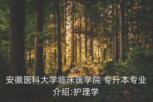 安徽醫(yī)科大學臨床醫(yī)學院 專升本專業(yè)介紹:護理學