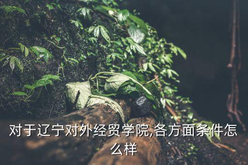 對于遼寧對外經(jīng)貿(mào)學(xué)院,各方面條件怎么樣