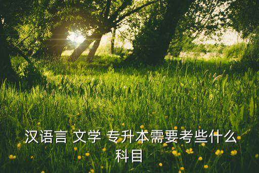 漢語(yǔ)言文學(xué)專(zhuān)升本用書(shū),河南專(zhuān)升本漢語(yǔ)言文學(xué)錄取分?jǐn)?shù)線(xiàn)