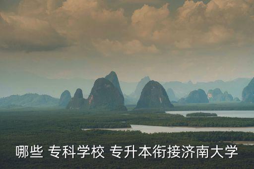 哪些 ?？茖W(xué)校 專升本銜接濟(jì)南大學(xué)