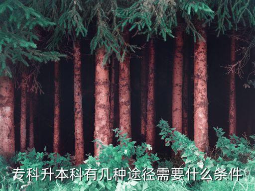 ?？粕究朴袔追N途徑需要什么條件