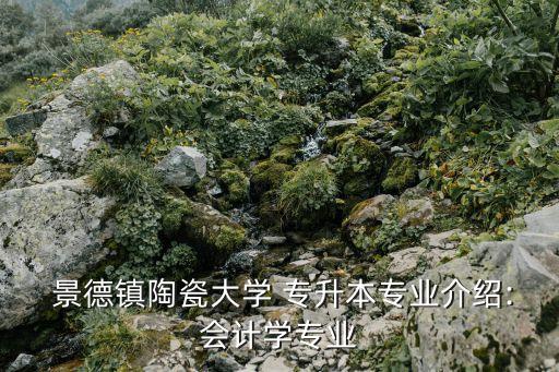  景德鎮(zhèn)陶瓷大學(xué) 專升本專業(yè)介紹:會計(jì)學(xué)專業(yè)