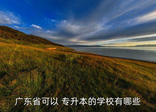廣東省可以 專升本的學(xué)校有哪些