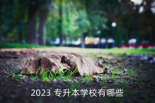 2023 專(zhuān)升本學(xué)校有哪些
