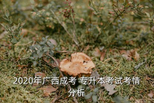 2020年廣西成考 專(zhuān)升本考試考情分析