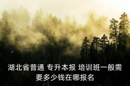 六盤(pán)水盤(pán)縣專升本培訓(xùn)