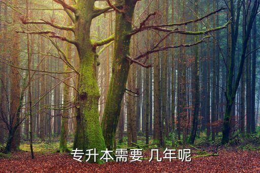  專(zhuān)升本需要 幾年呢