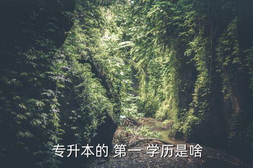 專升本后的第一學(xué)歷是什么,全日制?？茖Ｉ竞蟮牡谝粚W(xué)歷是什么