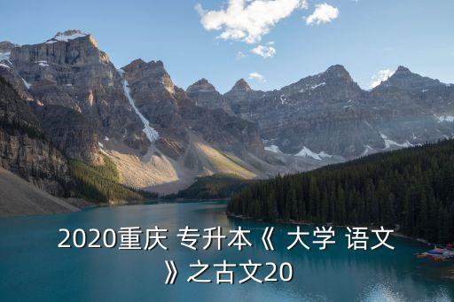 2020重慶 專升本《 大學(xué) 語文》之古文20
