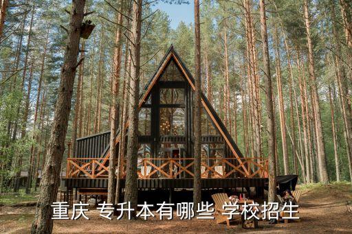 重慶 專升本有哪些 學(xué)校招生
