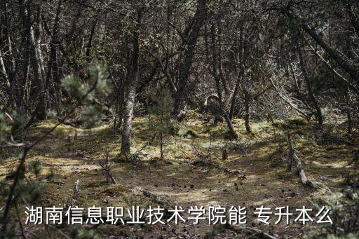 湖南信息職業(yè)技術(shù)學(xué)院能 專升本么