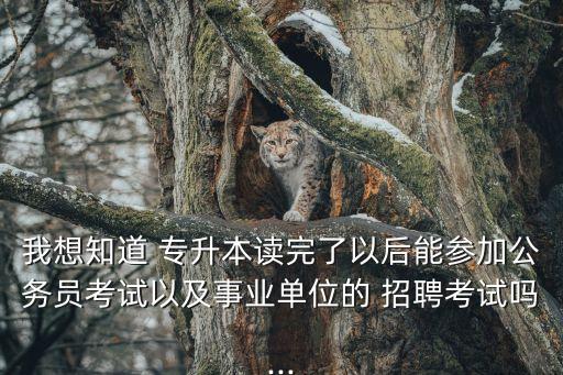 專升本語(yǔ)文老師招聘,張磊專升本語(yǔ)文老師簡(jiǎn)介