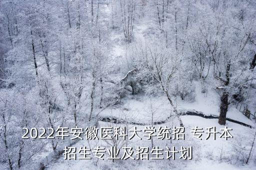 2022年安徽醫(yī)科大學(xué)統(tǒng)招 專升本招生專業(yè)及招生計(jì)劃